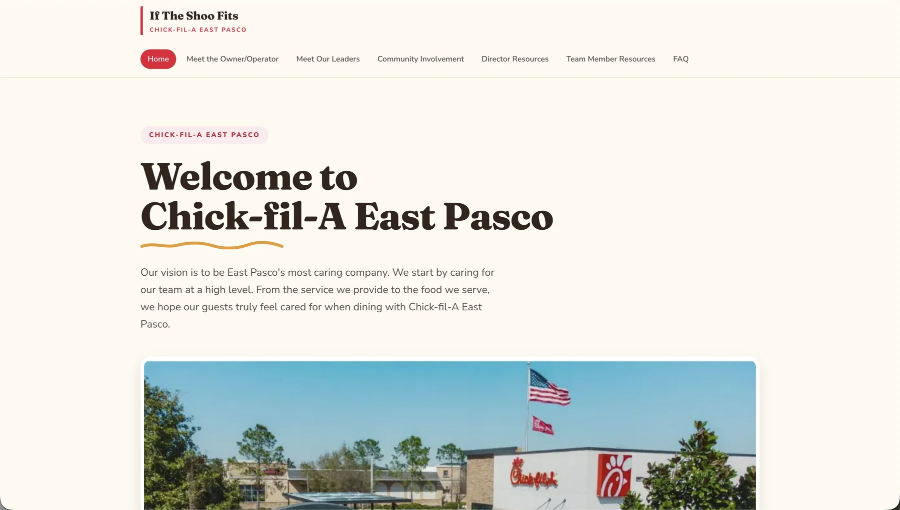 If the Shoo Fits website homepage